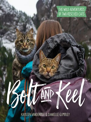 cover image of Bolt and Keel